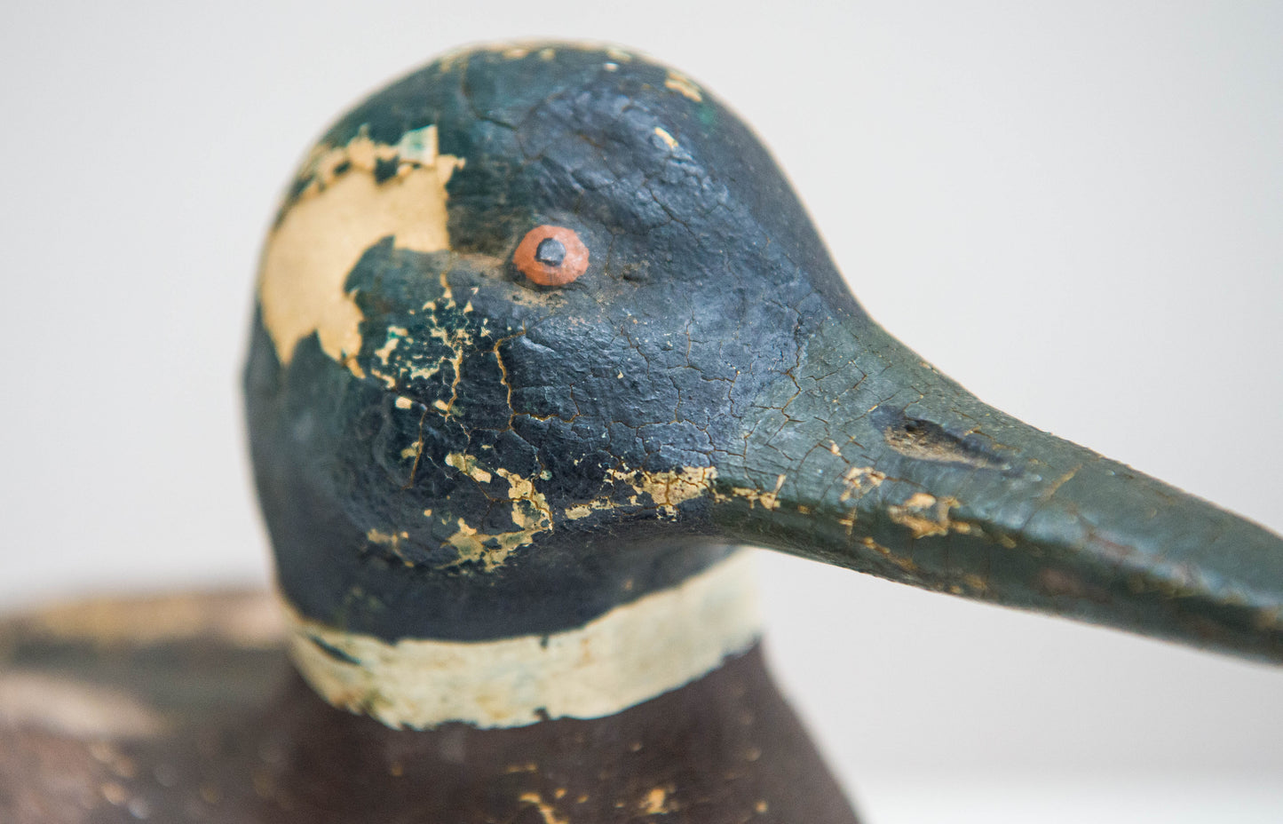 An Early English Hand made Polychrome Duck Decoy of Plaster construction.